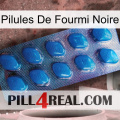 Black Ant Pills viagra1